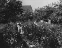 Women work with hoes in a garden at Squire Valleevue Farm