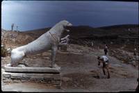 Archaic Naxian lions from Delos