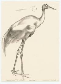 Saurus Crane (Stork)