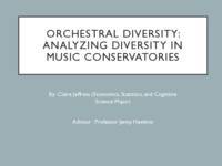 Orchestral Diversity: Analyzing Diversity in Music Conservatories
