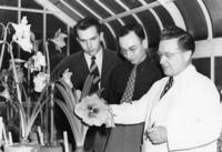 Franklin J. Bacon and others examine a plant