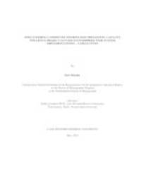 Does Steering Committee Information Processing Capacity Influence Project Success in Enterprise Wide System Implementations - A Field Study
