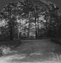 Driveway to Manor House, Squire Valleevue Farm, north view