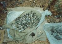 Remains Recovered at the Gornji-Vakuf Mass Grave