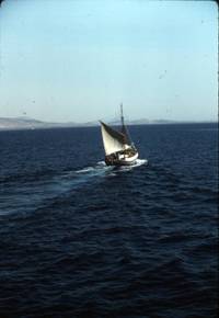 Caique on Aegean