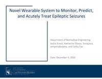 Novel Wearable System to Monitor, Predict, and Acutely Treat Epileptic Seizures