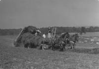Women work on haywagon at Squire Valleevue Farm