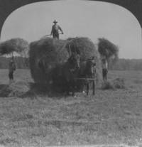 Men with hay wagon at Squire Valleevue Farm