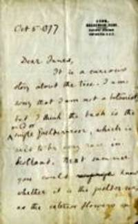 Letter from Charles Darwin to J. B. Innes [John Brodie Innes], 11168