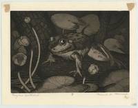 Frog and Spatterdock