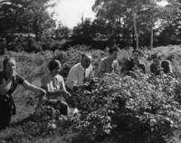 John Paul Visscher and students examine plants