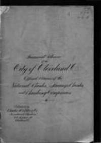 Financial review of the city of Cleveland, O. : official returns of the national banks, savings banks, and banking companies