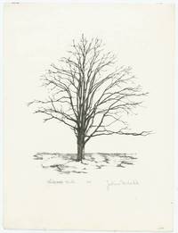 White Oak, Winter