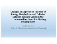 Changes in Expression Profiles of Energy Metabolism and Cellular Calcium Balance Genes in the Mammalian Inner Ear During Development