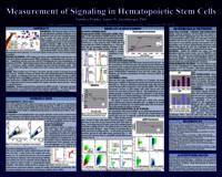 Measurement of Signaling in Hematopoietic Stem Cells