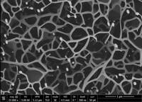 ZnO nanowires and nanowalls 3D nanostructures