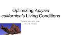 Optimizing Aplysia californica’s Living Conditions